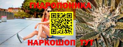 винт Можга